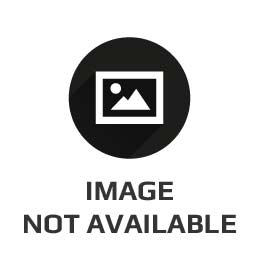 Women's Keds 'Champion' Canvas Sneaker, Size 6 M - Black